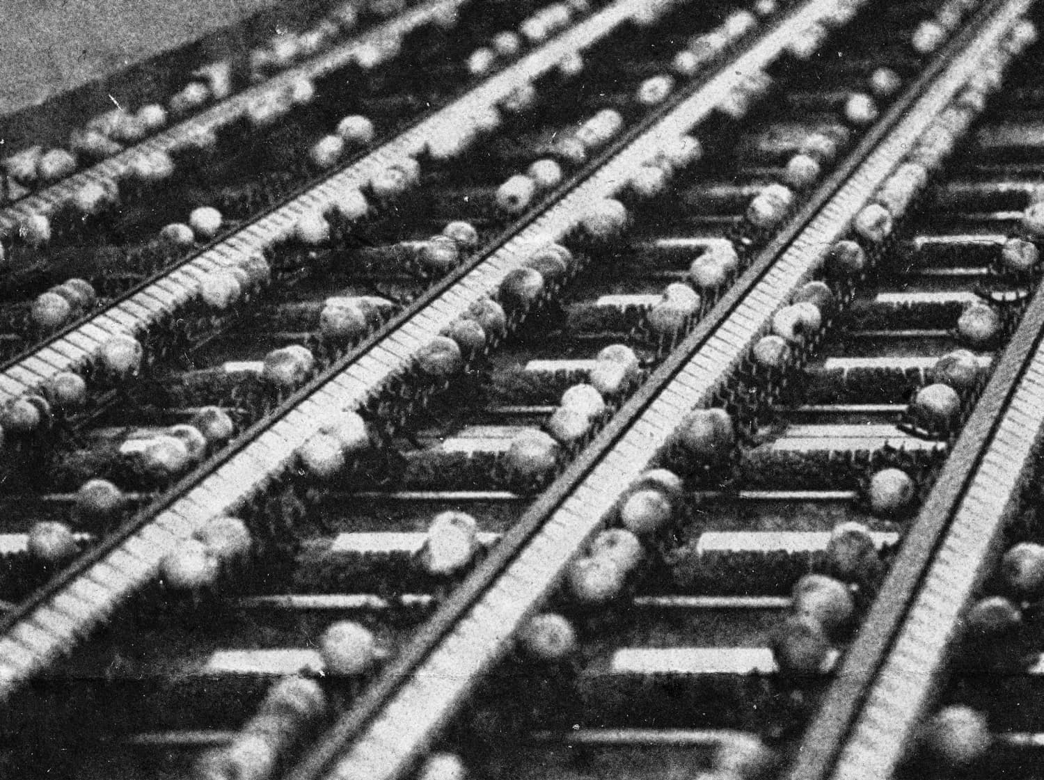 Rows of a sorting machine carrying items along parallel tracks