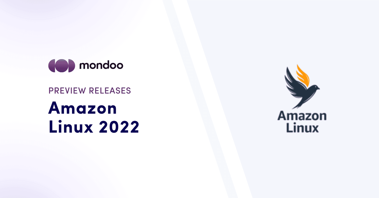 Amazon Linux 2022 features and how to check for vulnerabilities