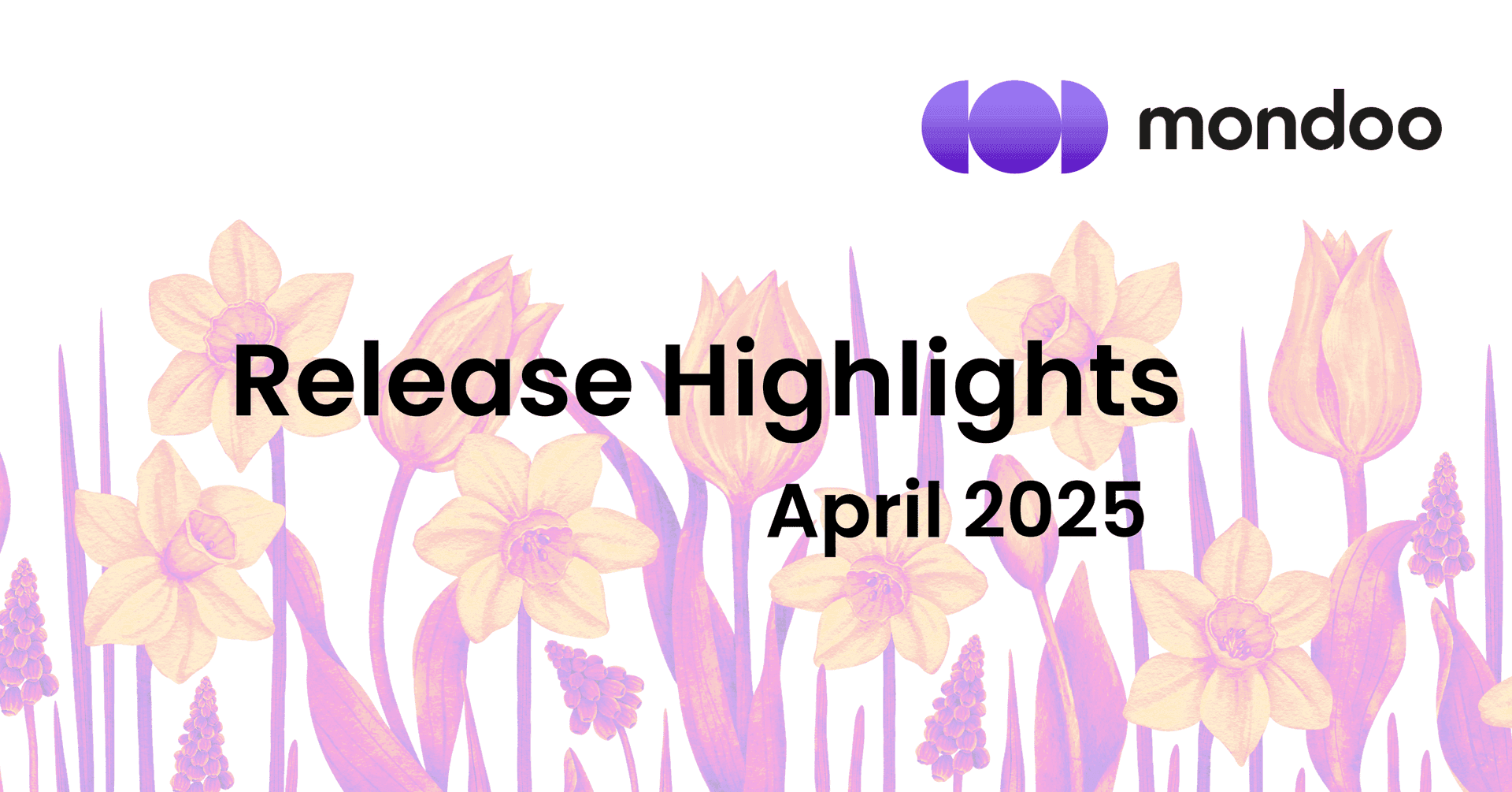 Mondoo Release Highlights April 2025