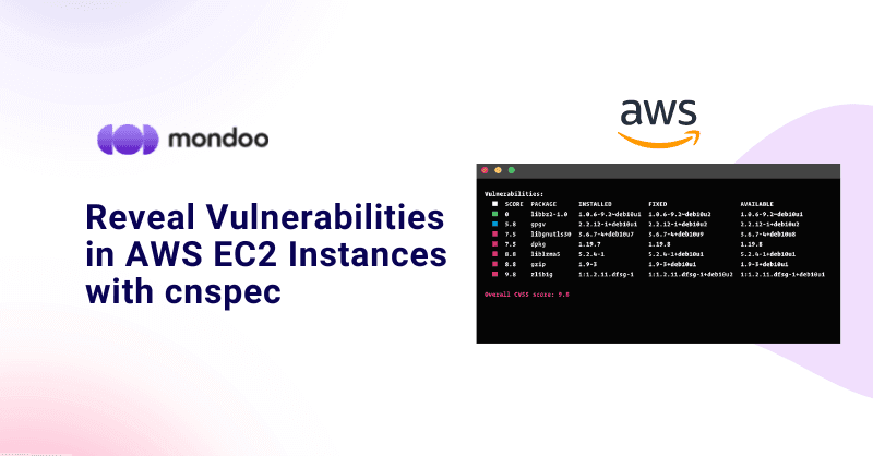 Reveal Vulnerabilities in AWS EC2 Instances with cnspec