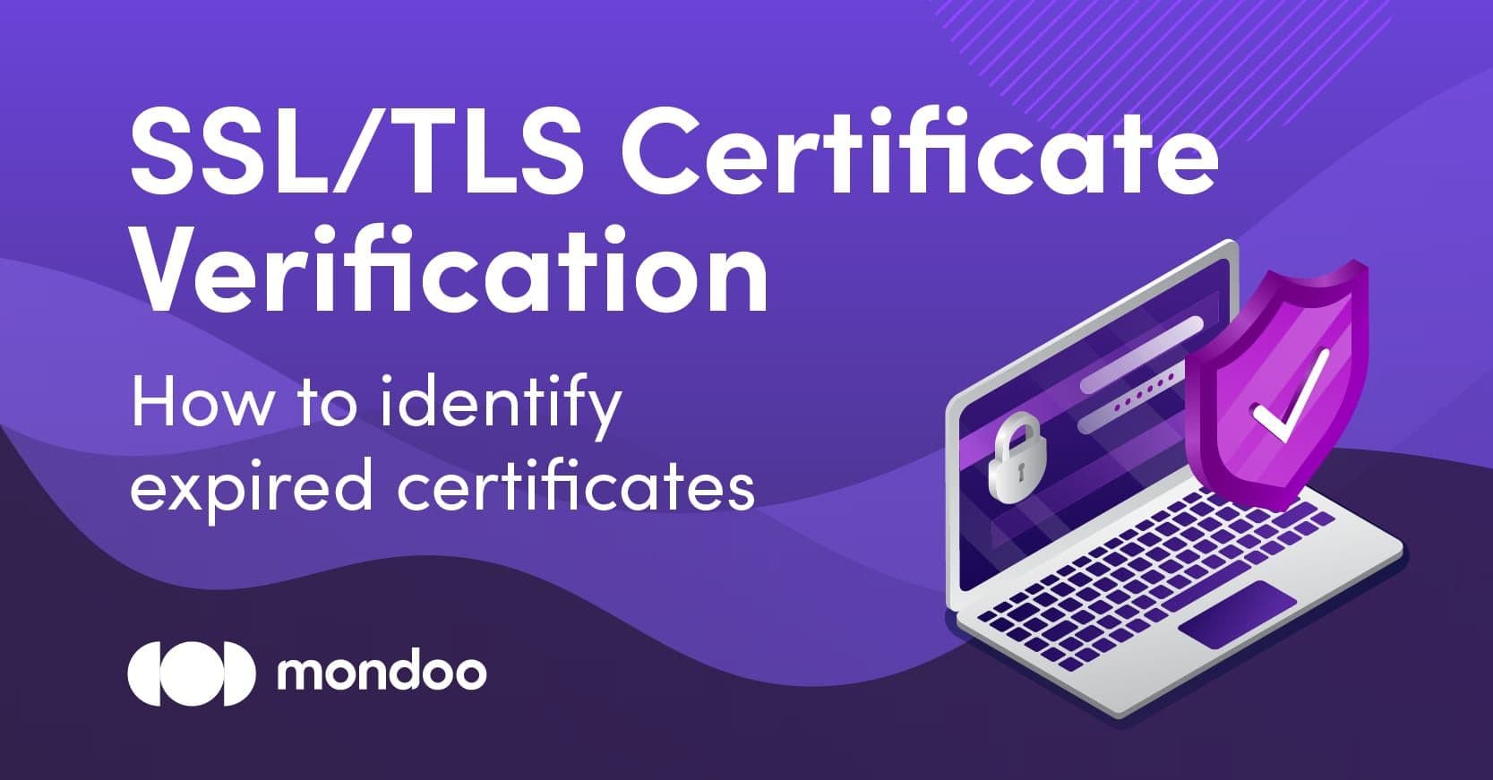 SSL/TLS Certificate Verification: How to Identify Expired Certificates