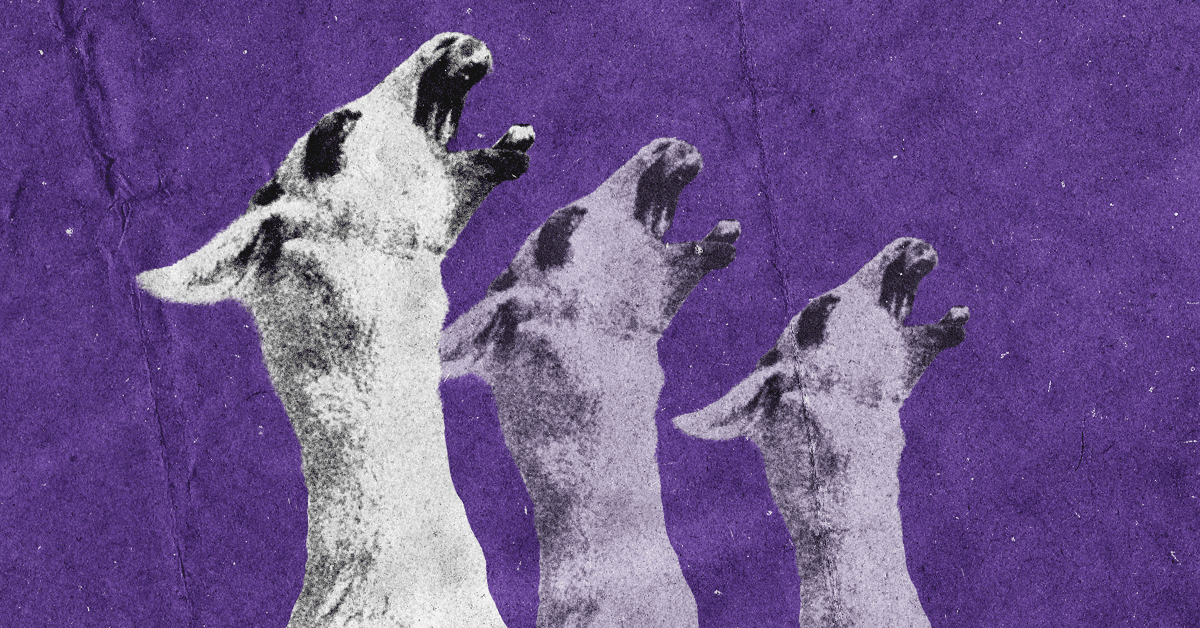 Three Ollama CVEs in One Week: Bleeding Llama Plus Two Windows Updater Flaws Awaiting Release
