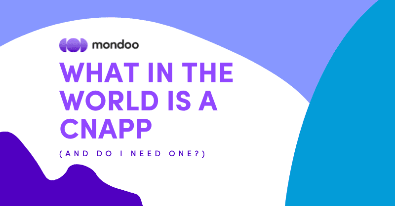 What in the World Is a CNAPP (and Do I Need One)?