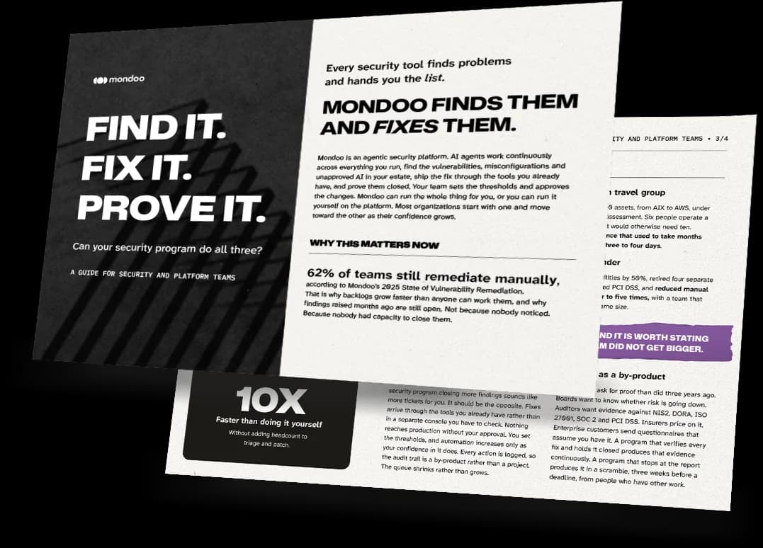 The solution brief, Find it. Fix it. Prove it., shown as a printed piece