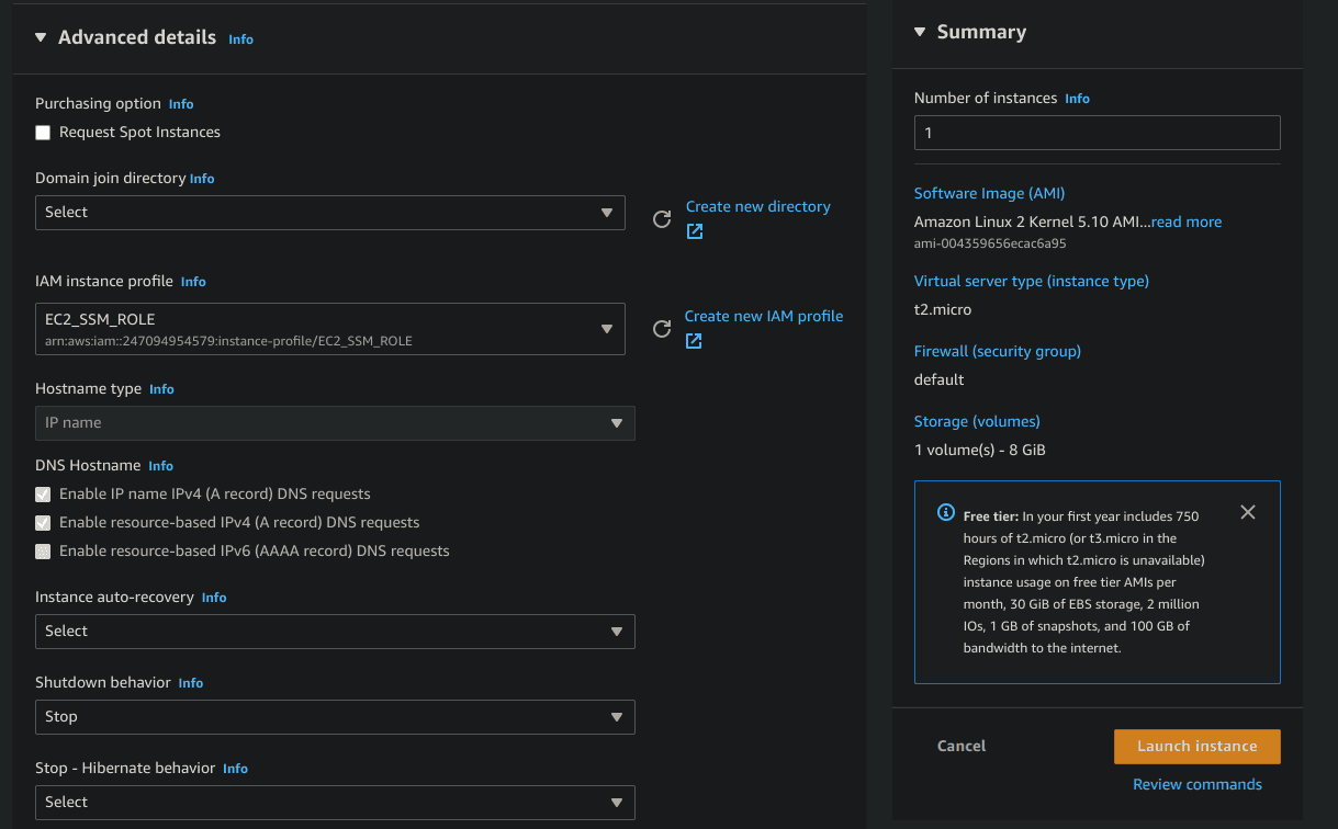 EC2 instance summary showing the new instance ID