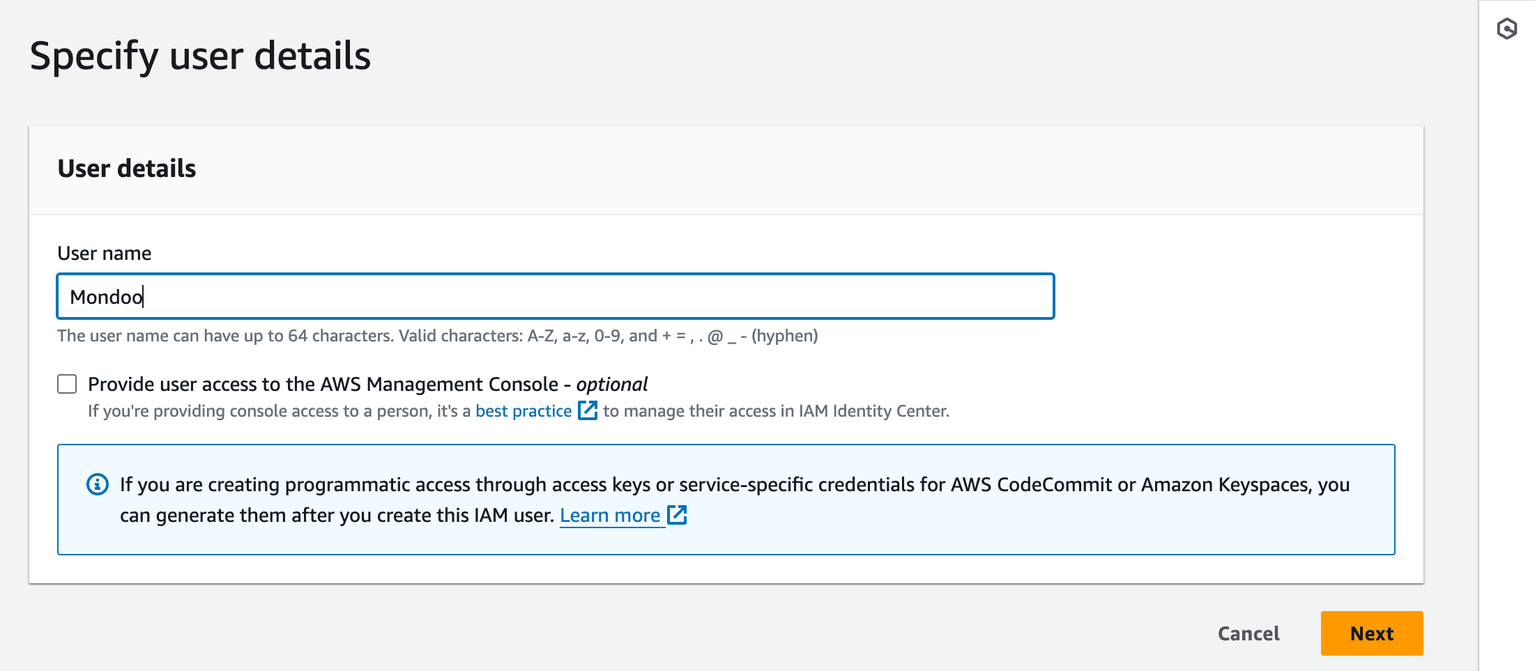 AWS IAM users