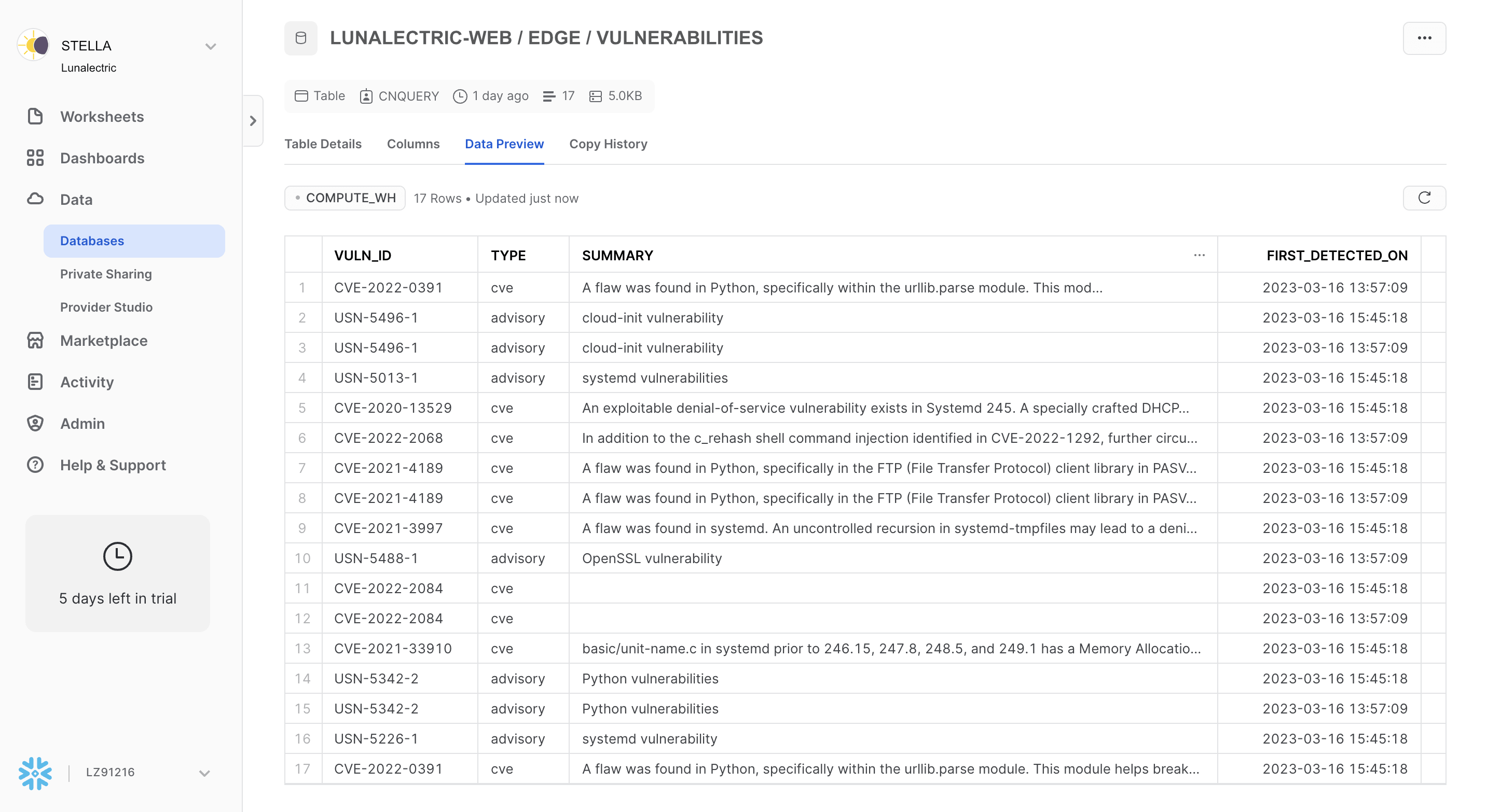 Snowflake Data