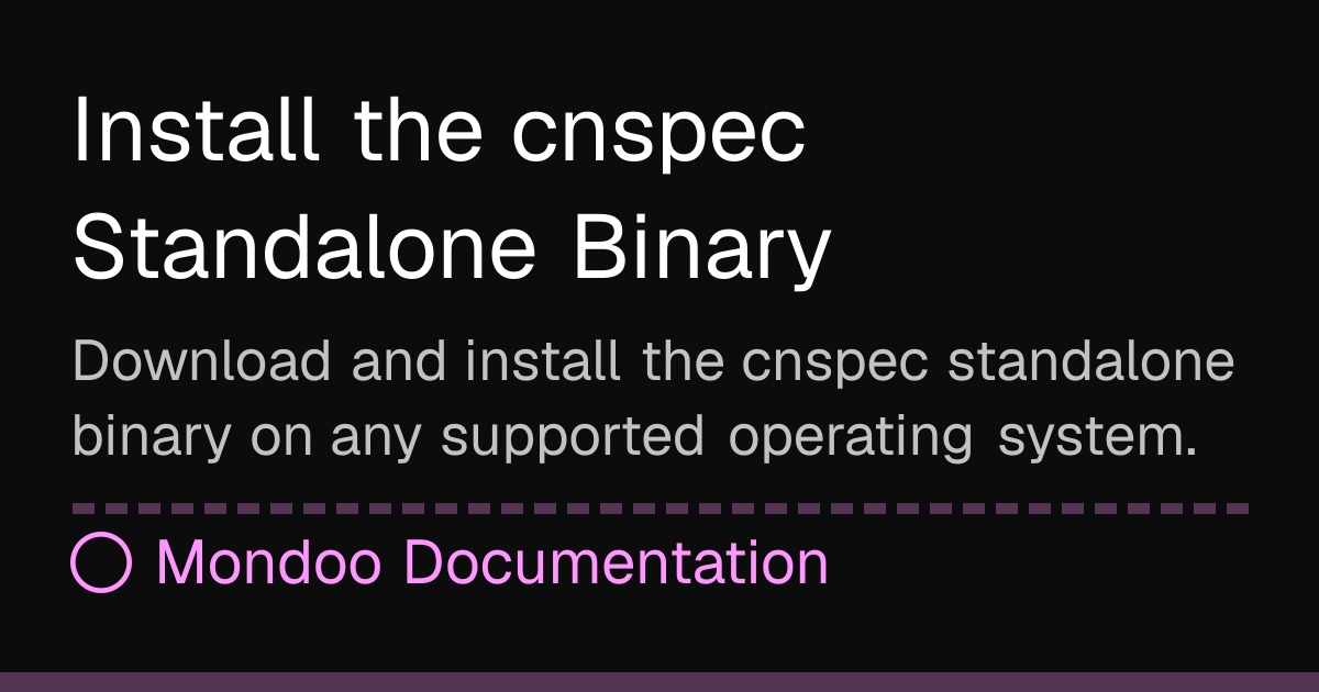 Install the cnspec Standalone Binary | Mondoo Docs